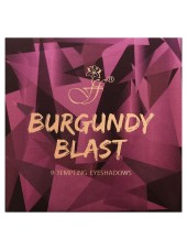 Сухие тени Ffleur Burgundy Blast 9 Tempting Eyeshadows